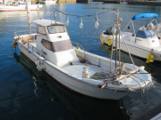 337_898516.jpg